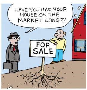 Summary of 2019 -House Prices increase. Rents increase. Housing shortfall persists.